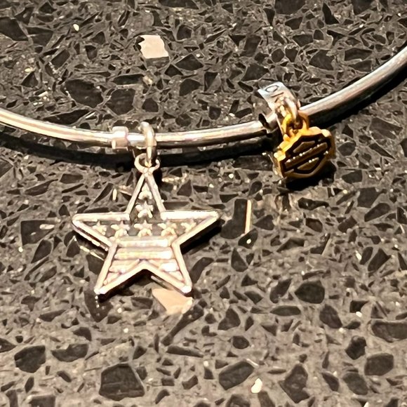 HARLEY DAVIDSON STAINLESS STEEL LADIES STAR BANGLE BRACELET - Picture 2 of 3